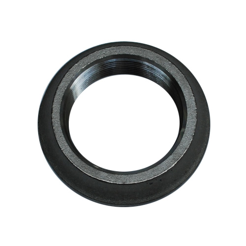 Porting-Components - Stainless-Weld-Flange-2-NPT